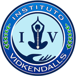 logo Vidkendalls
